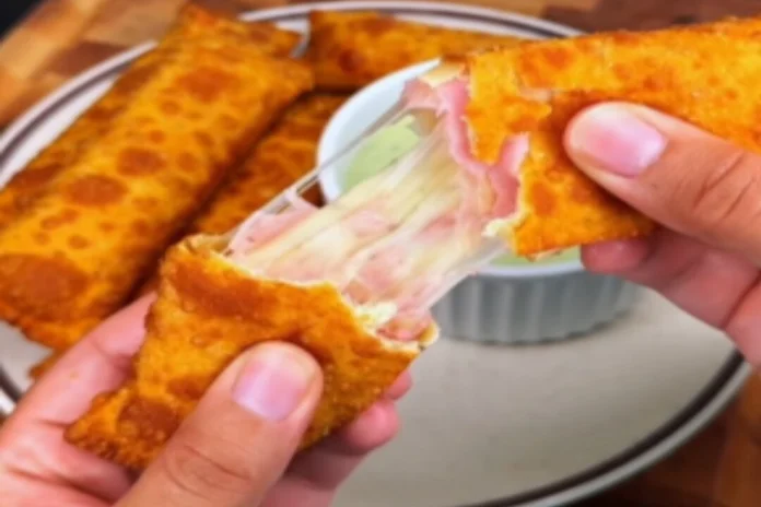 enroladinho sabor pizza com massa de pastel